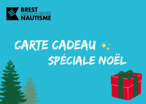 Carte Cadeau Spécial Noël